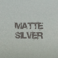 Matt Silver
